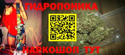 прущие крисы Донской