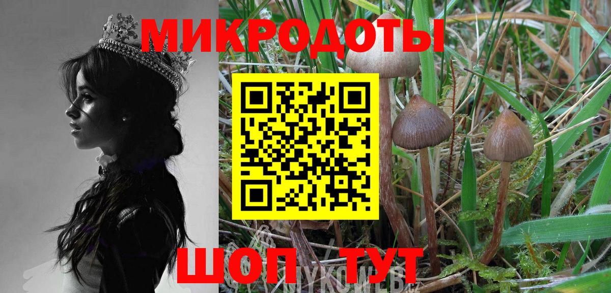 Меф Кострома