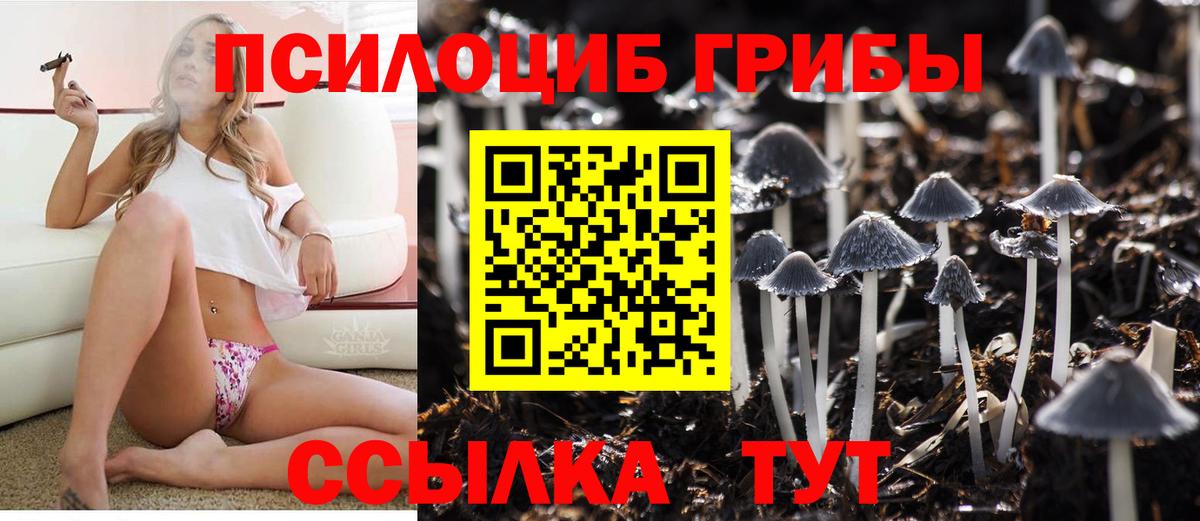 Галлюциногенные грибы мицелий Кострома